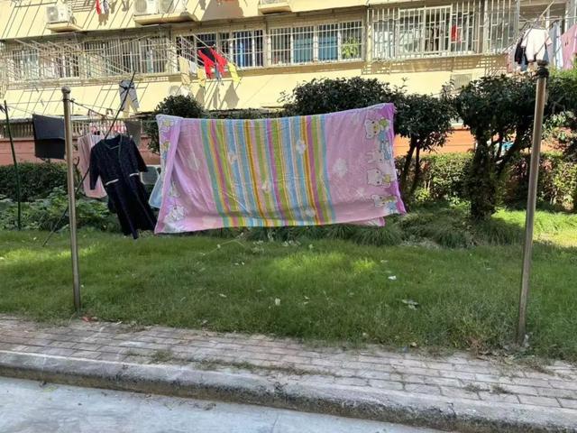 向心力提升居民幸福感凯发体育赞助文明凝聚(图2)