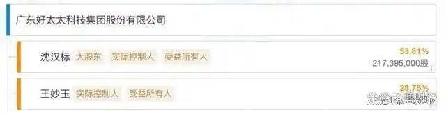 、净利下滑旗下电动晾衣机曾抽查不合格K8凯发国际好太太去年前三季度营收(图6)